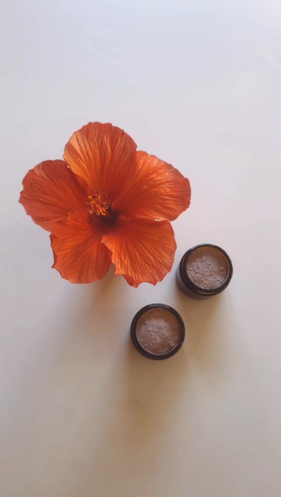 Anti Aging Hibiscus Face Mask